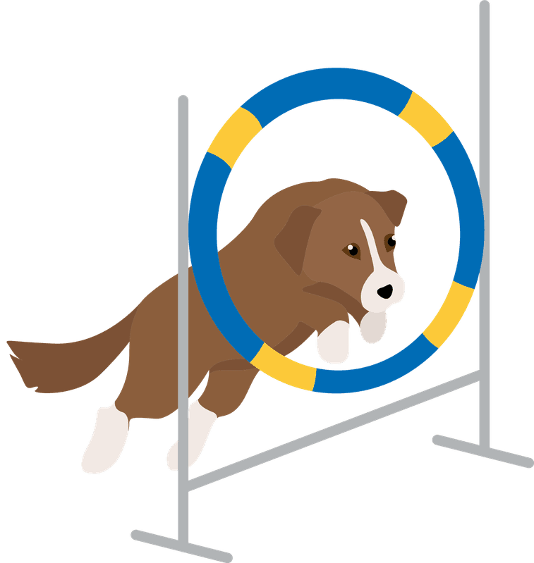 Advanced Training — B & H Dog Training Co.