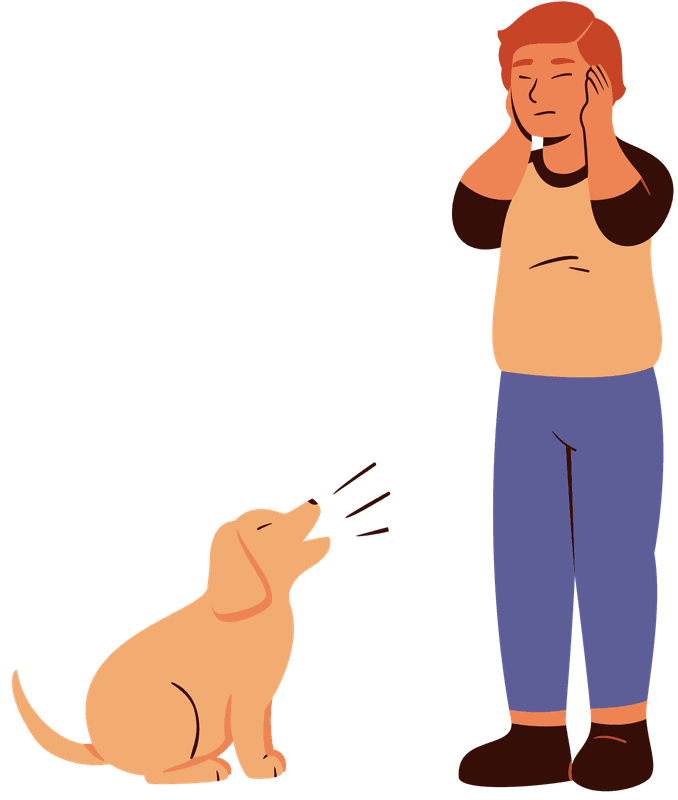 Behavior Modification — B & H Dog Training Co.
