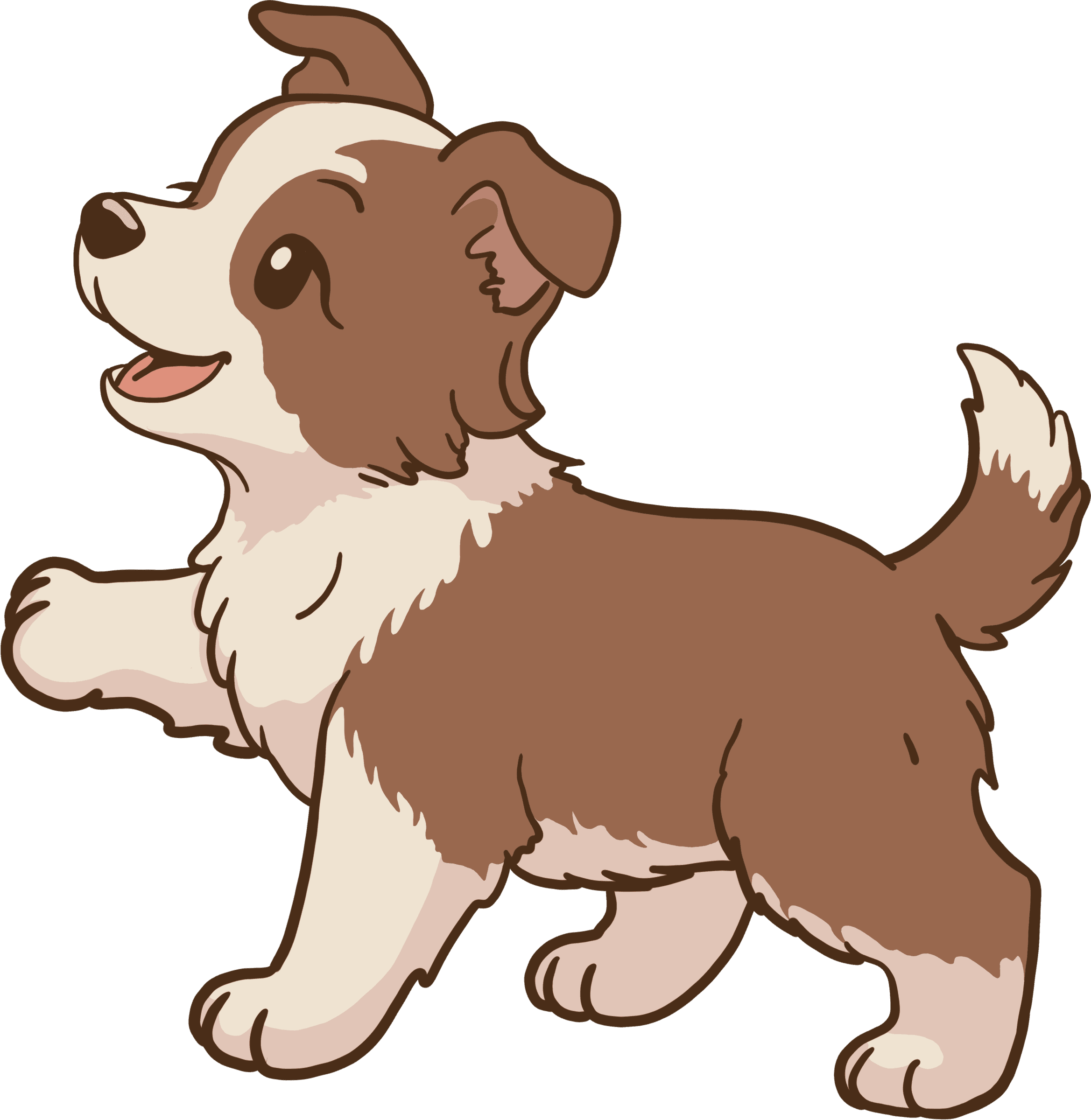 Puppy Fundamentals — B & H Dog Training Co.