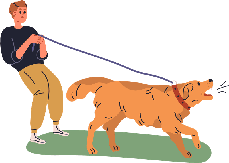 Reactivity — B & H Dog Training Co.
